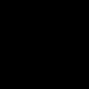 Meet your Posher, Franki